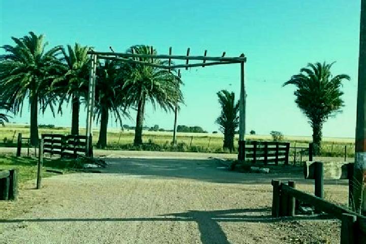 Ruby, 36 — Escort in Ombues de Lavalle, Uruguay