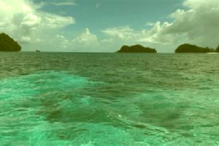 Ruby, 36 — Escort in Sonsorol Village, Palau