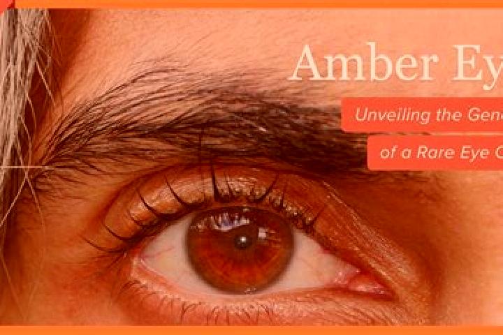 Ruby, 38, a black amber-eyed caribbean companion based in Huasco. Offering Couples, CIM, A-Level, 69. Available for incall and outcall, overnight bookings av...