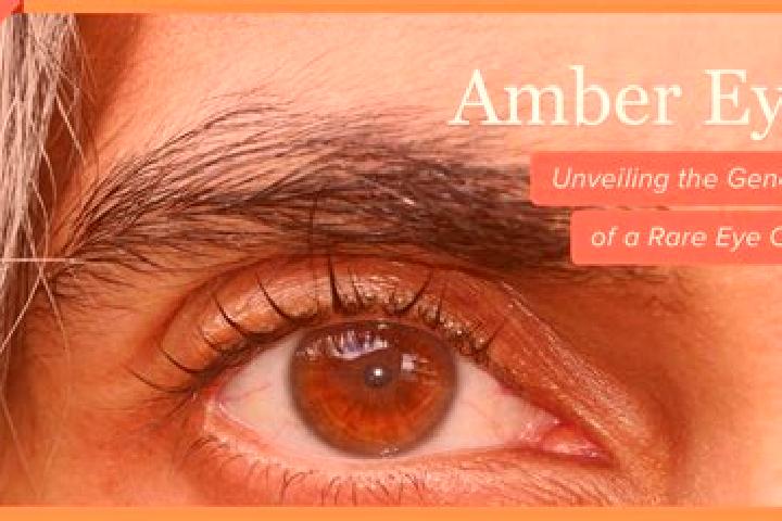 Ruby, 38, a black amber-eyed mediterranean companion based in Castelo do Piaui. Offering Erotic Massage, GFE, 69. Available for incall and outcall, overnight...