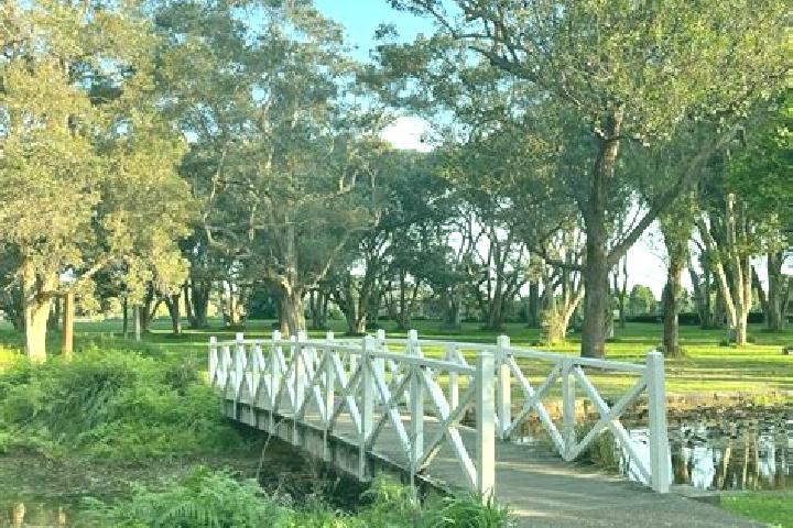 Ruby, 38 — Escort in Centennial Park, Australia