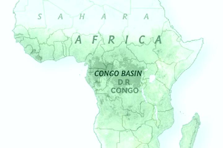 Ruby, 38 — Escort in Kimongo, Congo