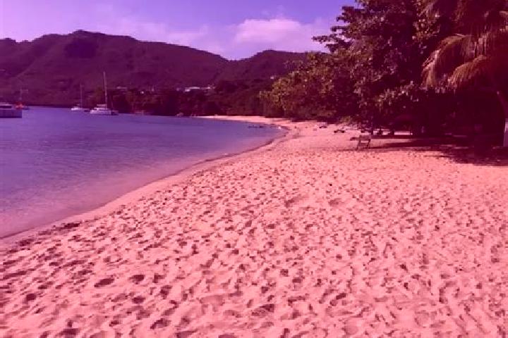 Ruby, 38 — Escort in New Montrose, Saint Vincent and the Grenadines