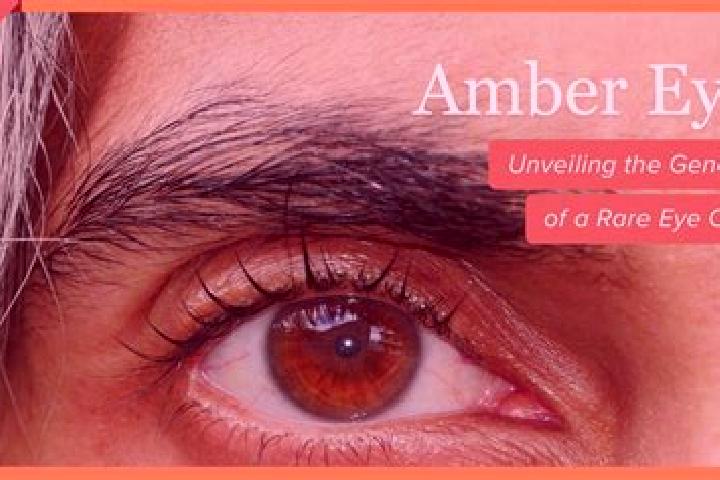 Ruby, 39, a black amber-eyed caucasian companion based in Eversley. Offering Erotic Massage, Girlfriend Experience, BDSM. Available for incall and outcall, d...