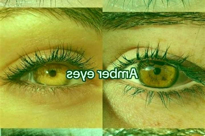 Ruby, 39, a brunette amber-eyed european companion based in North Gate. Offering Dinner Date, OWO, Duos. Available for incall and outcall, day and evening da...