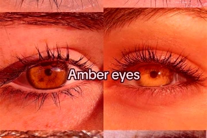 Ruby, 39, a chestnut amber-eyed european companion based in Elbingerode. Offering Duos, Striptease, GFE, A-Level, BDSM. Available for incall and outcall, day...