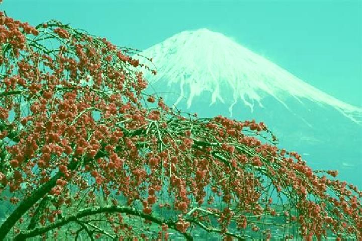 Ruby, 39 — Escort in Ishinari, Japan
