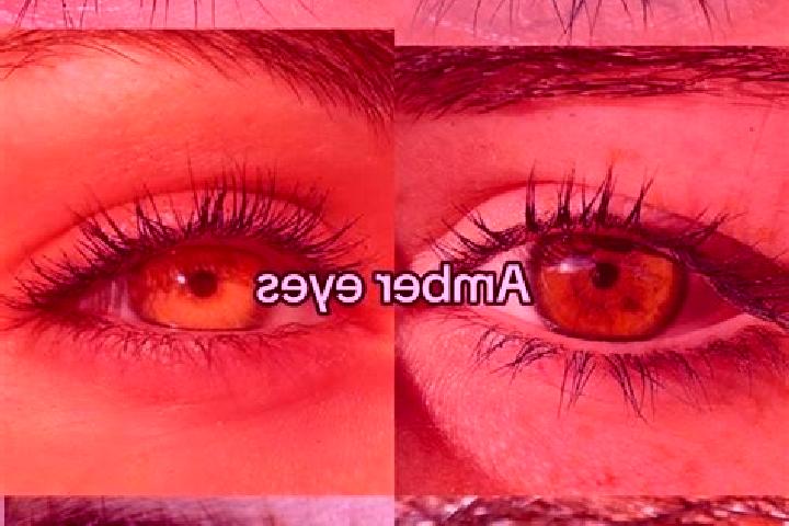 Sadie, 20, a chestnut amber-eyed mixed companion based in Abriola. Offering Girlfriend Experience, Massage, Tantra. Available for incall and outcall, day and...