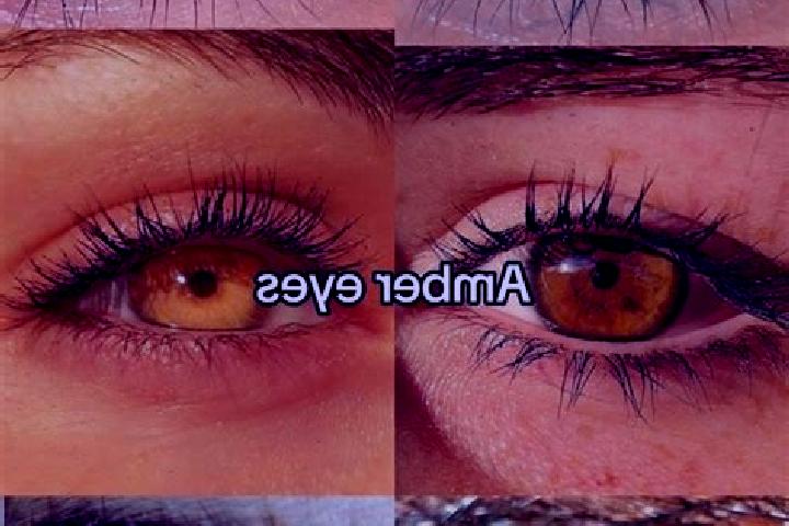Sadie, 20, a chestnut amber-eyed mixed companion based in Pitoa. Offering Massage, GFE, Deep French Kissing. Available for incall and outcall, overnight book...
