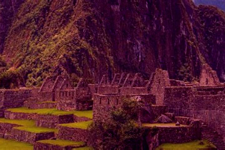 Sadie, 20 — Escort in Accocunca, Peru