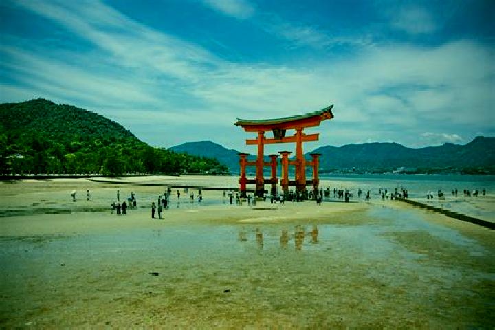 Sadie, 20 — Escort in Ajima, Japan