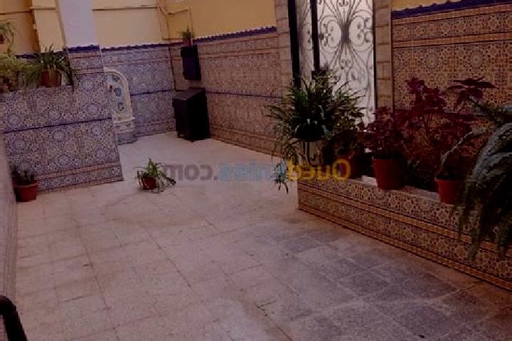 Sadie, 20 — Escort in Beni Tamou, Algeria