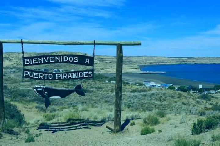 Sadie, 20 — Escort in Puerto Piramides, Argentina