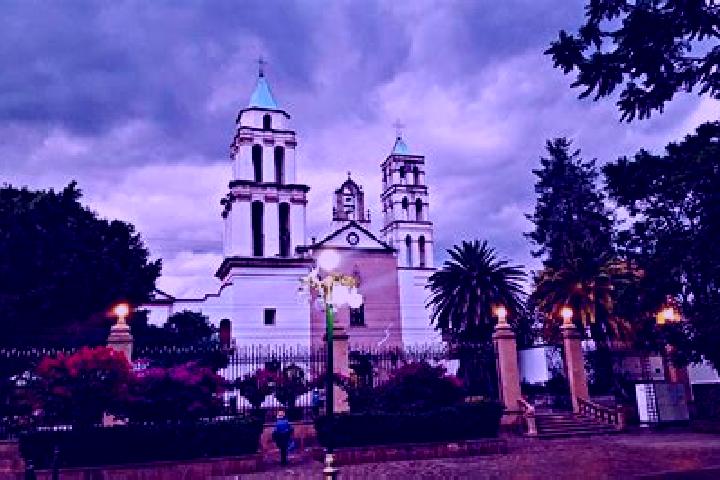 Sadie, 20 — Escort in San Nicolas Tolentino, Mexico