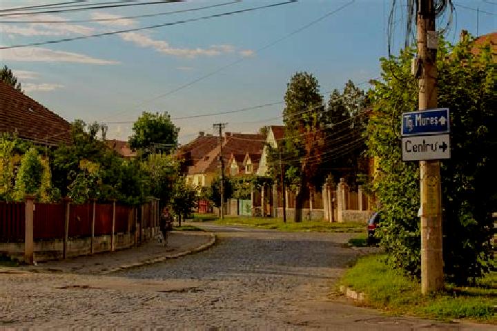 Sadie, 20 — Escort in Sieut, Romania