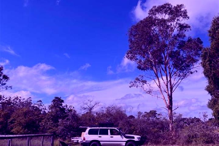 Sadie, 20 — Escort in Wedderburn, Australia