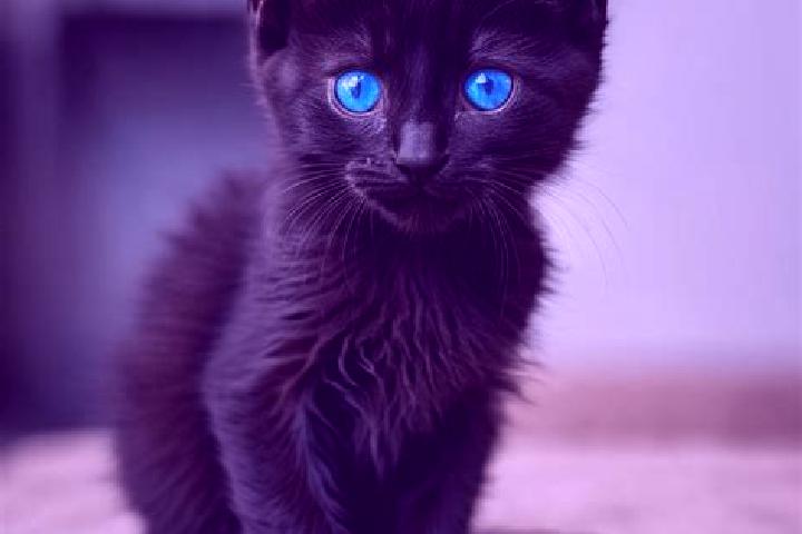 Sadie, 21, a black blue-eyed mediterranean companion based in Tur ya Pasika. Offering Roleplay, Couples, Massage, 69, BDSM. Available for incall and outcall,...