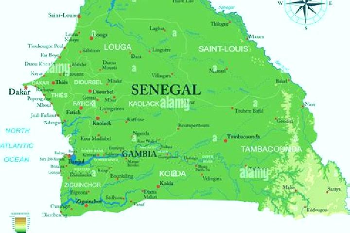 Sadie, 21 — Escort in Pout, Senegal