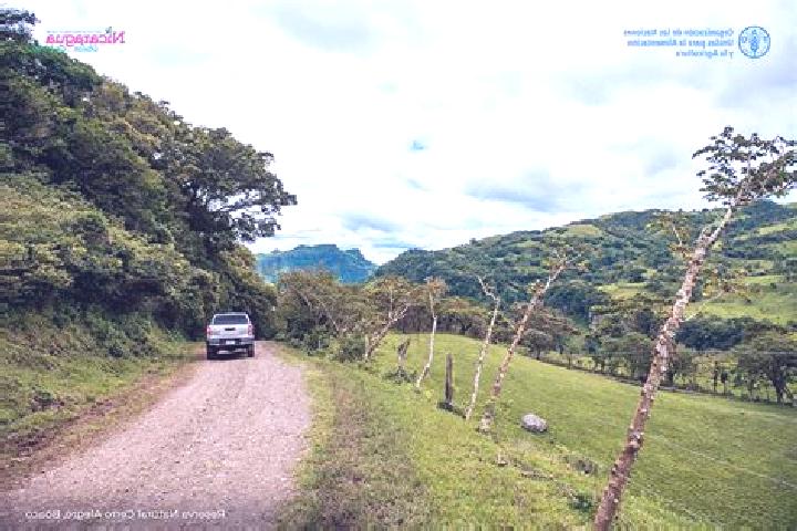 Sadie, 21 — Escort in San Jose de los Remates, Nicaragua