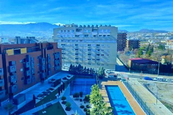 Sadie, 21 — Escort in Zaidin, Spain