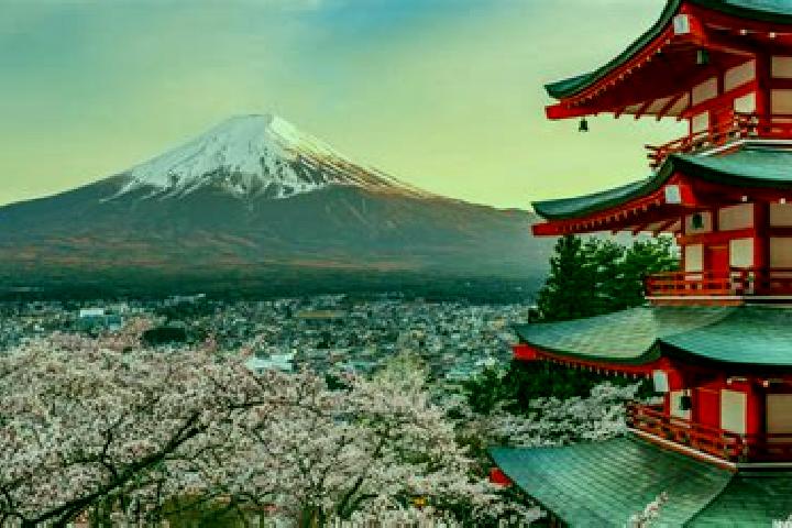 Sadie, 22 — Escort in Fujiyoshida, Japan
