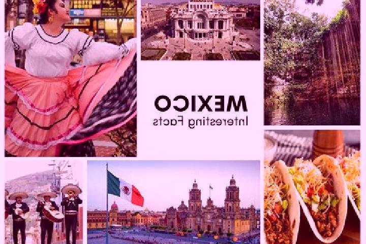 Sadie, 22 — Escort in Montecillos, Mexico