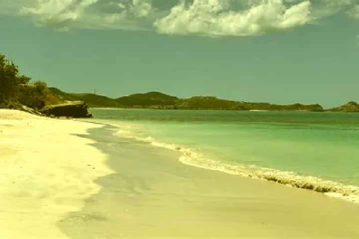Sadie, 22 — Escort in Piggotts, Antigua and Barbuda
