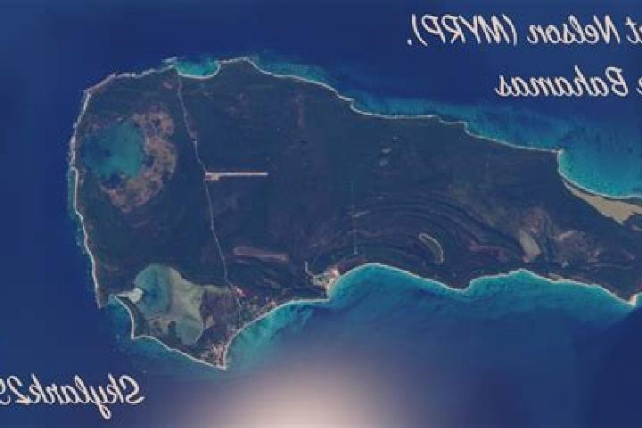 Sadie, 22 — Escort in Port Nelson, Bahamas