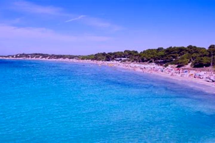Sadie, 22 — Escort in Ses Salines, Spain