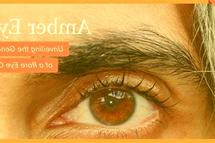 Sadie, 23, a red amber-eyed european companion based in Mission District. Offering BDSM, Travel Companion, Striptease, Fetish. Available for incall and outca...