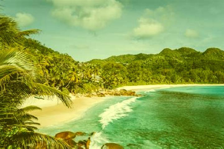 Sadie, 23 — Escort in Plaisance, Seychelles