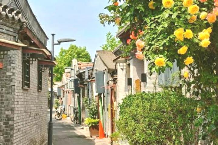 Sadie, 24 — Escort in Beiling, China