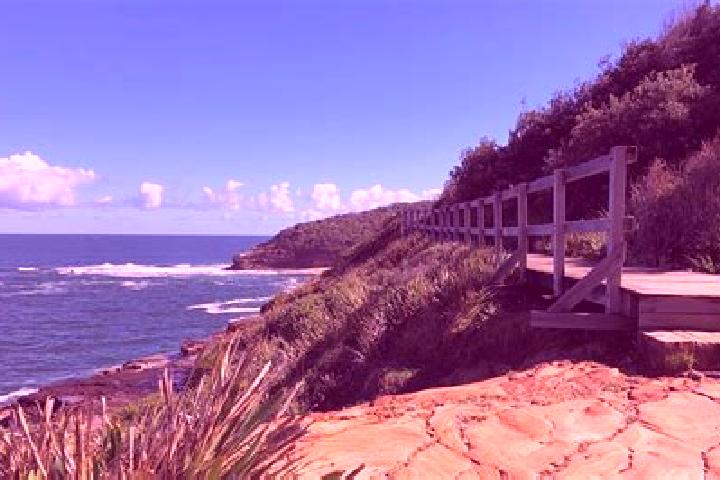 Sadie, 24 — Escort in Point Lookout, Australia