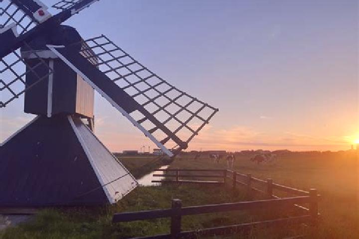 Sadie, 24 — Escort in Zuidschermer, Netherlands