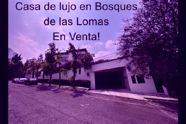 Sadie, 25 — Escort in Col. Bosques de las Lomas, Mexico