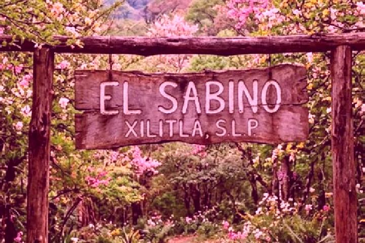 Sadie, 25 — Escort in El Sabino, Mexico