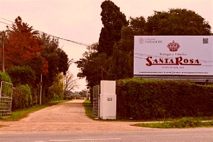 Sadie, 25 — Escort in Santa Rosa, Uruguay