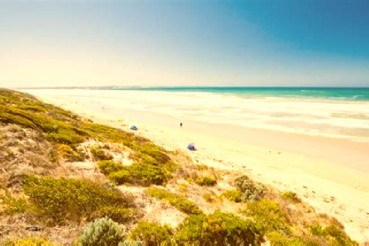 Sadie, 26 — Escort in Cedar Grove, Australia