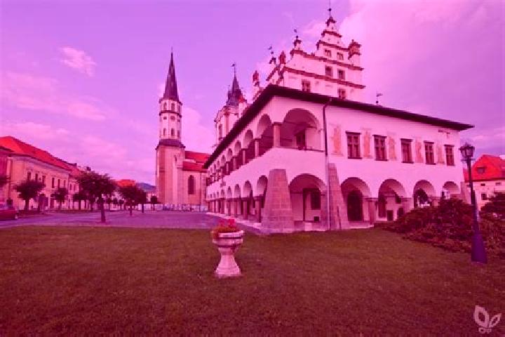 Sadie, 26 — Escort in Levoca, Slovakia