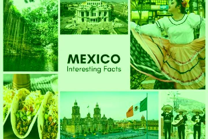 Sadie, 26 — Escort in Uzeta, Mexico