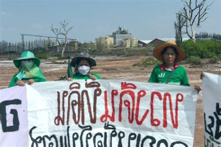 Sadie, 27, a black dark-eyed caribbean companion based in Dan Khun Thot. Offering Dinner Date, Duos, Domination, 69, Striptease. Available for incall and out...