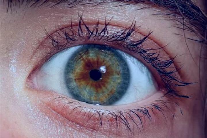 Sadie, 27, a red hazel-eyed middle eastern companion based in Ocoee. Offering 69, CIM, Duos. Available for incall and outcall, day and evening dates.
