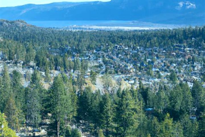 Sadie, 27 — Escort in Big Bear City, United States