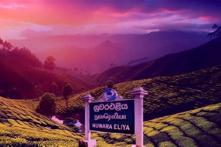 Sadie, 27 — Escort in Nuwara Eliya, Sri Lanka