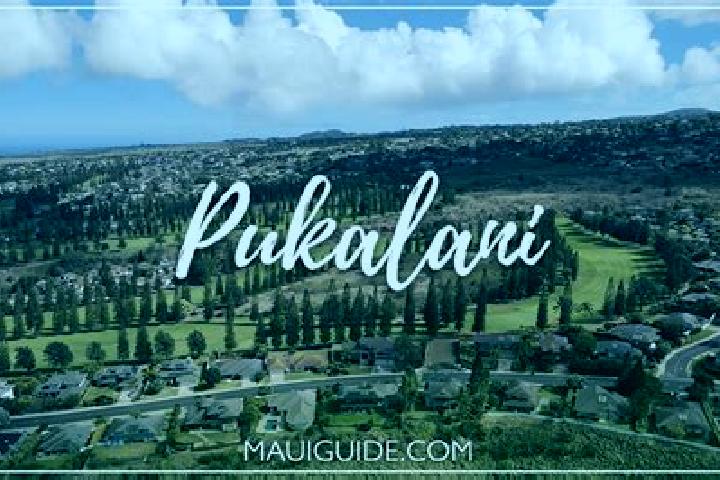 Sadie, 27 — Escort in Pukalani, United States