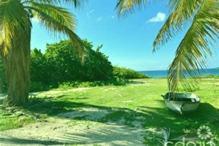 Sadie, 27 — Escort in Tibbetts Turn, Cayman Islands