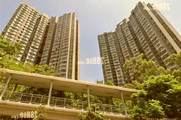 Sadie, 28 — Escort in Choi Wan Estate (I & II), Hong Kong