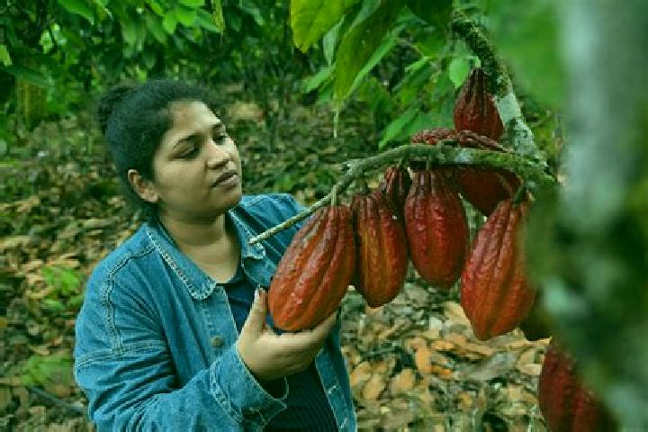 Sadie, 28 — Escort in Francisco J. Santamaria (Cacao), Mexico