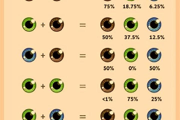 Sadie, 29, a red grey-eyed ebony companion based in Ophoven. Offering Striptease, Erotic Massage, OWO. Available for incall and outcall, day and evening dates.