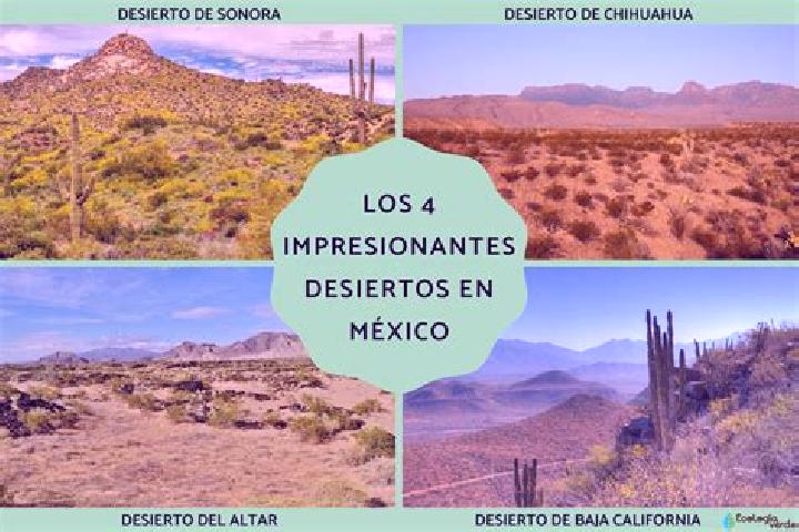Sadie, 29 — Escort in El Desierto, Mexico